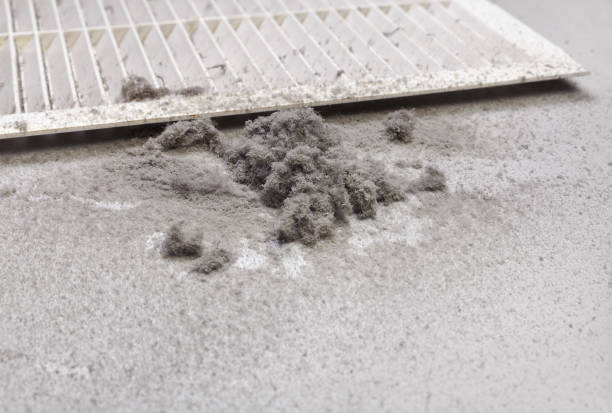 Best Affordable HVAC Duct Cleaning  in Girard, IL