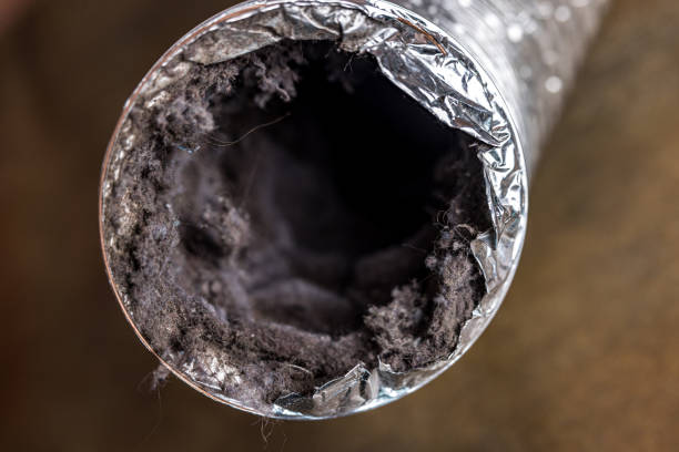 Best Affordable Duct Cleaning Services  in Girard, IL